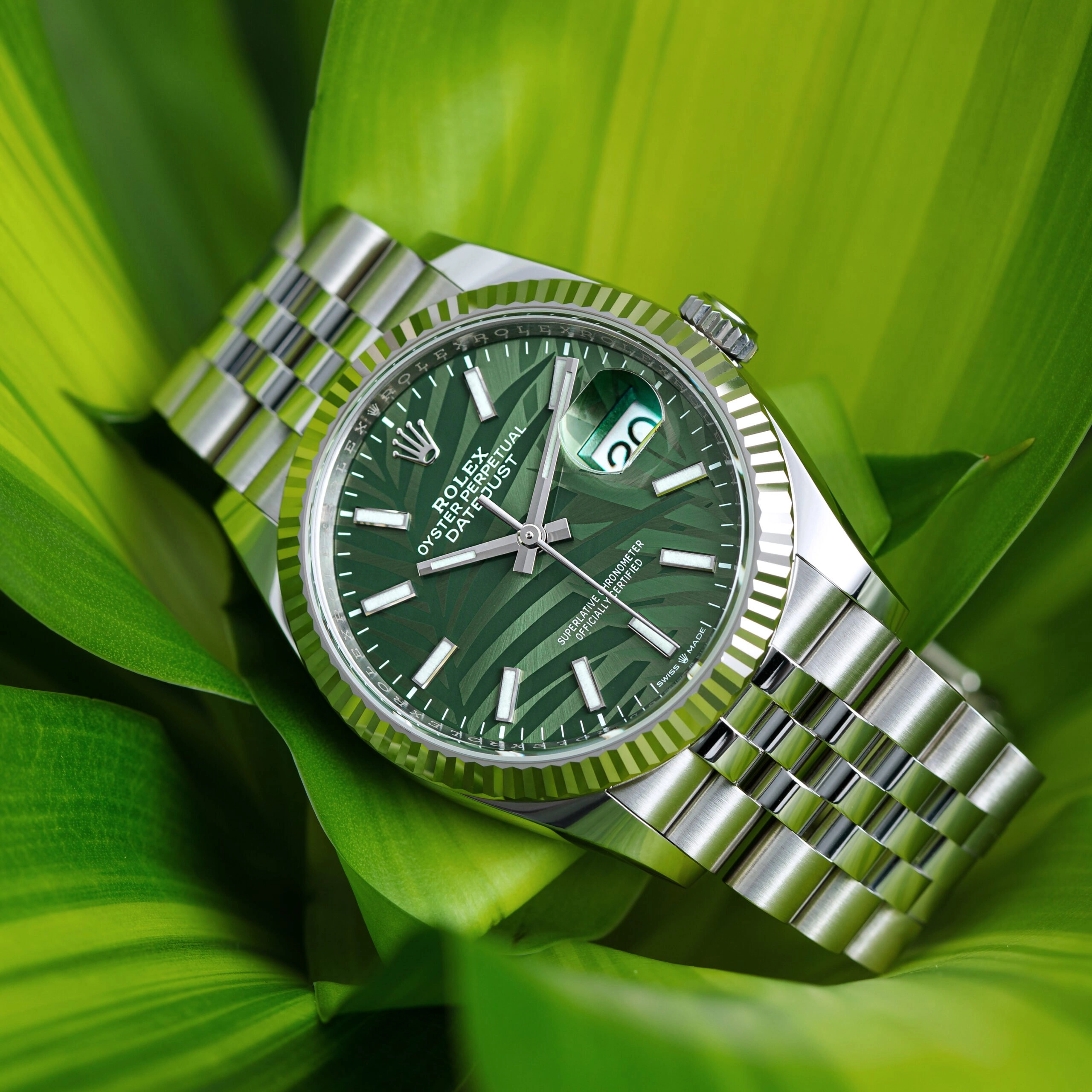 Lost in the Jungle: The Rolex Datejust 126234 Palm Motif Dial